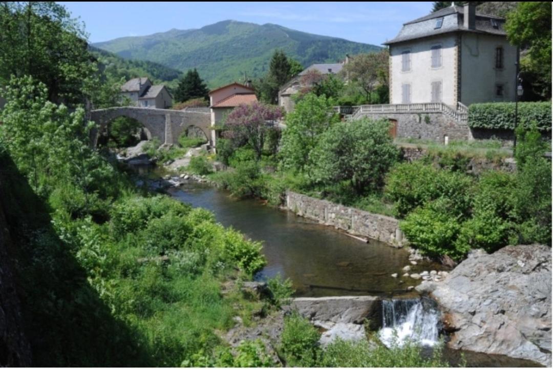 Sur Les Rochers Du Lac & Location-Rando En Vtt Villefort  Exterior foto